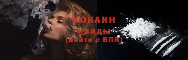 индика Аркадак