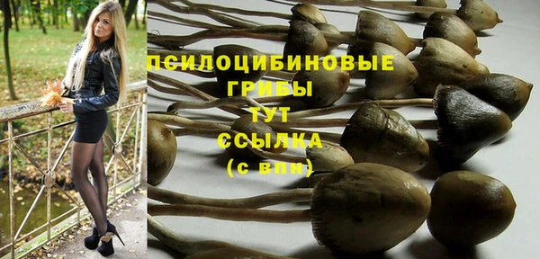 индика Аркадак