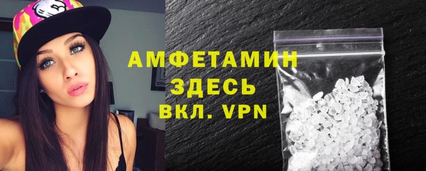 индика Аркадак