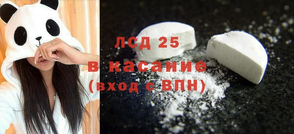 индика Аркадак