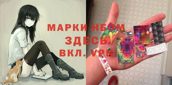 индика Аркадак