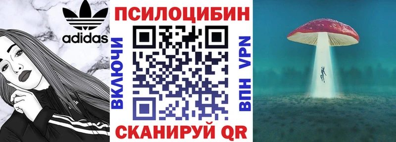 купить   Бабушкин  Псилоцибиновые грибы Psilocybe 