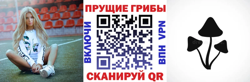 Псилоцибиновые грибы мухоморы Бабушкин